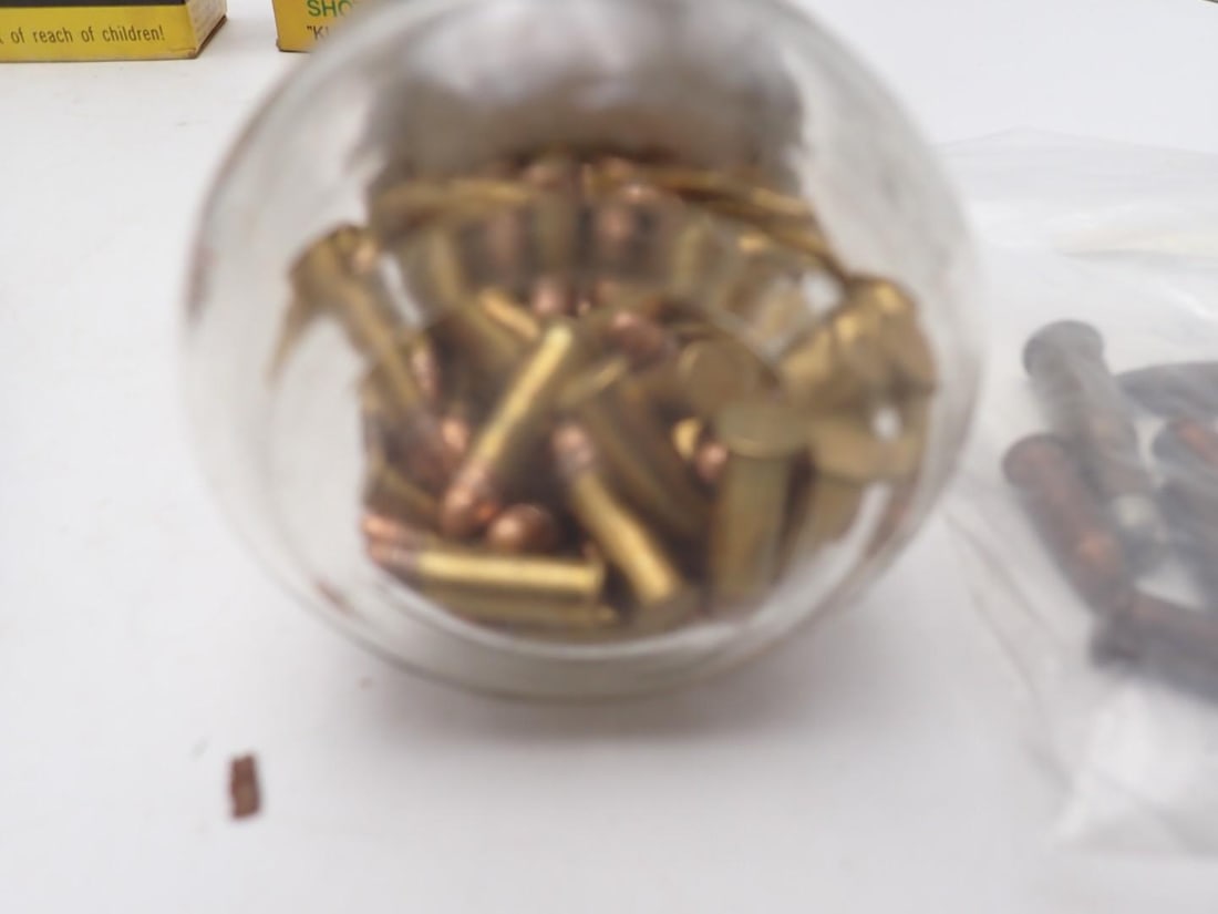 (79) 12 Ga. Shotgun Shells - 14