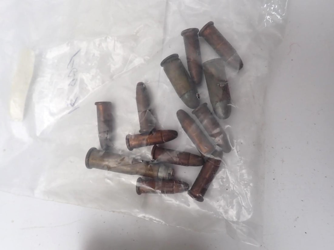 (79) 12 Ga. Shotgun Shells - 15