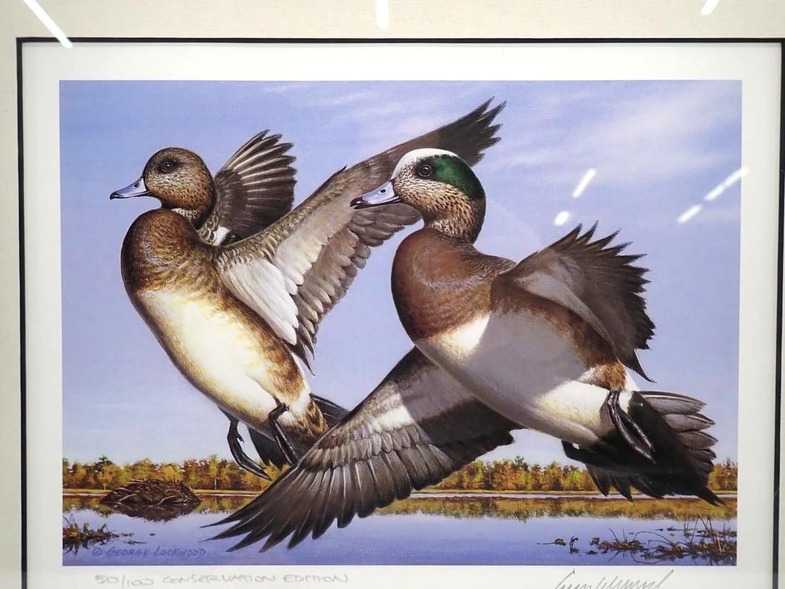 2000 Vermont Duck Stamp & Print - 2