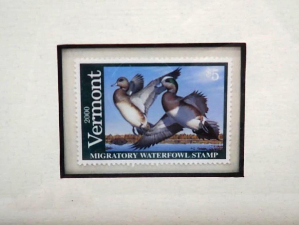 2000 Vermont Duck Stamp & Print - 4
