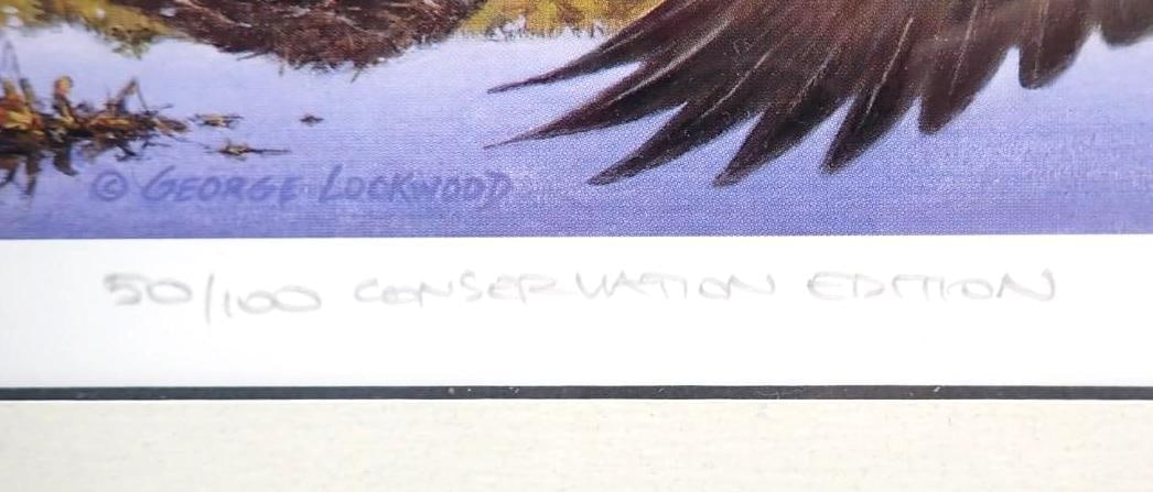 2000 Vermont Duck Stamp & Print - 5