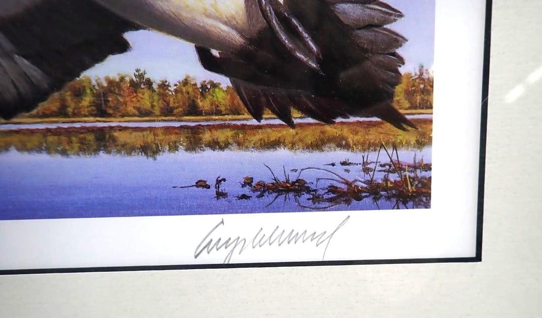 2000 Vermont Duck Stamp & Print - 6