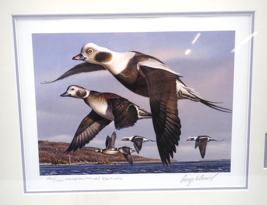 2001 Vermont Duck Stamp & Print - 2