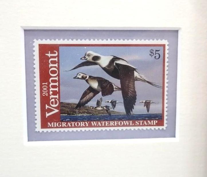 2001 Vermont Duck Stamp & Print - 3