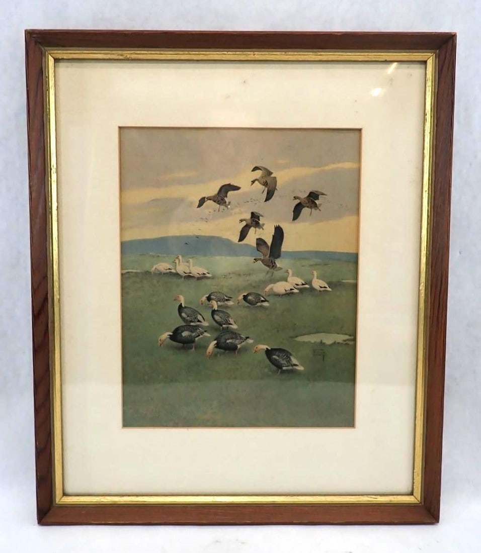 Lynn Bogue Hunt Goose Lithograph: 20.25" x 17" framed