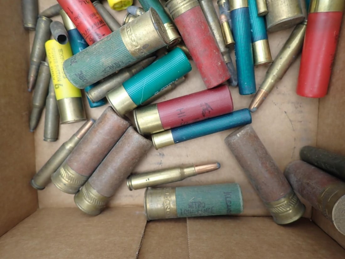 Mixed Cartridge Lot - 4
