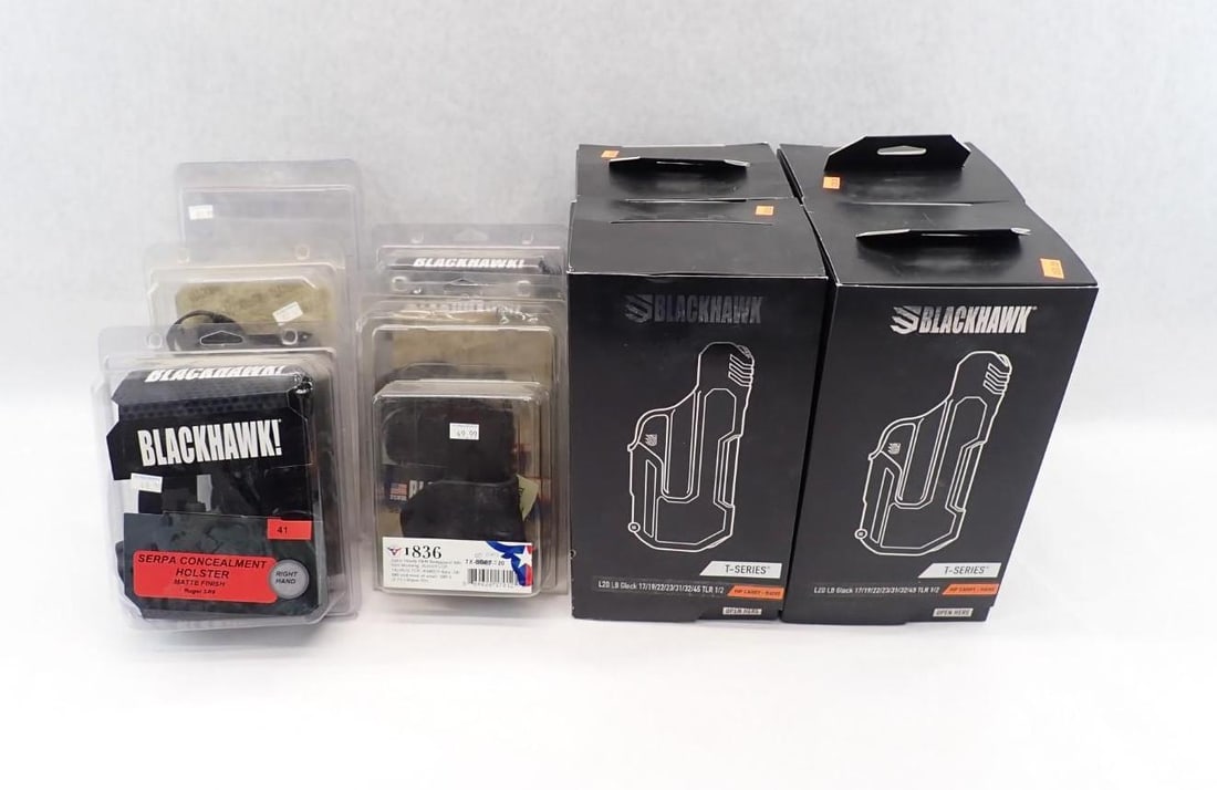 (10) Handgun Holsters - 3