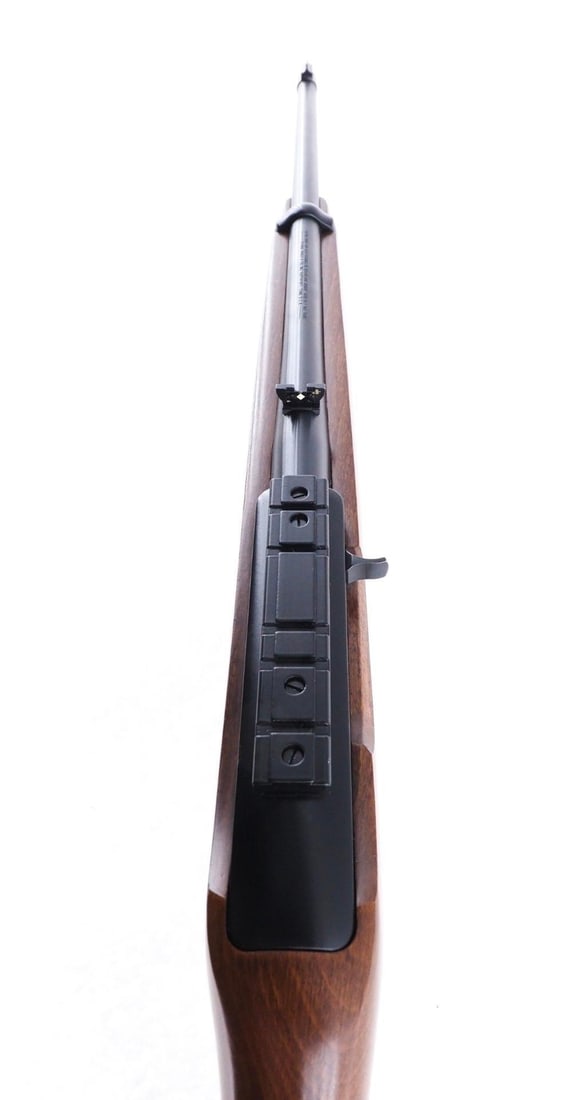Ruger 10/22 Carbine Rifle - 18