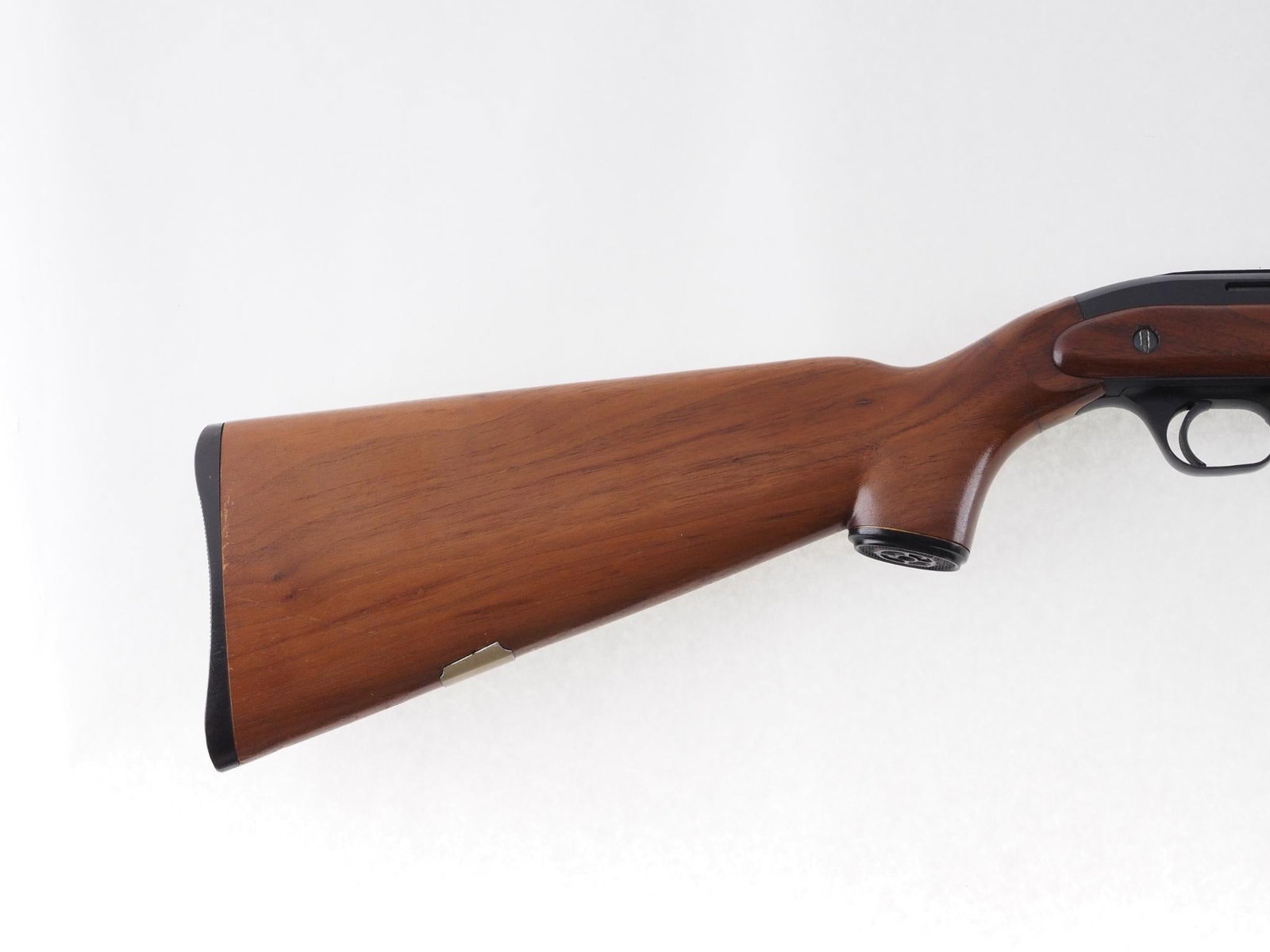 J.C. Higgins 31 Rifle - 4