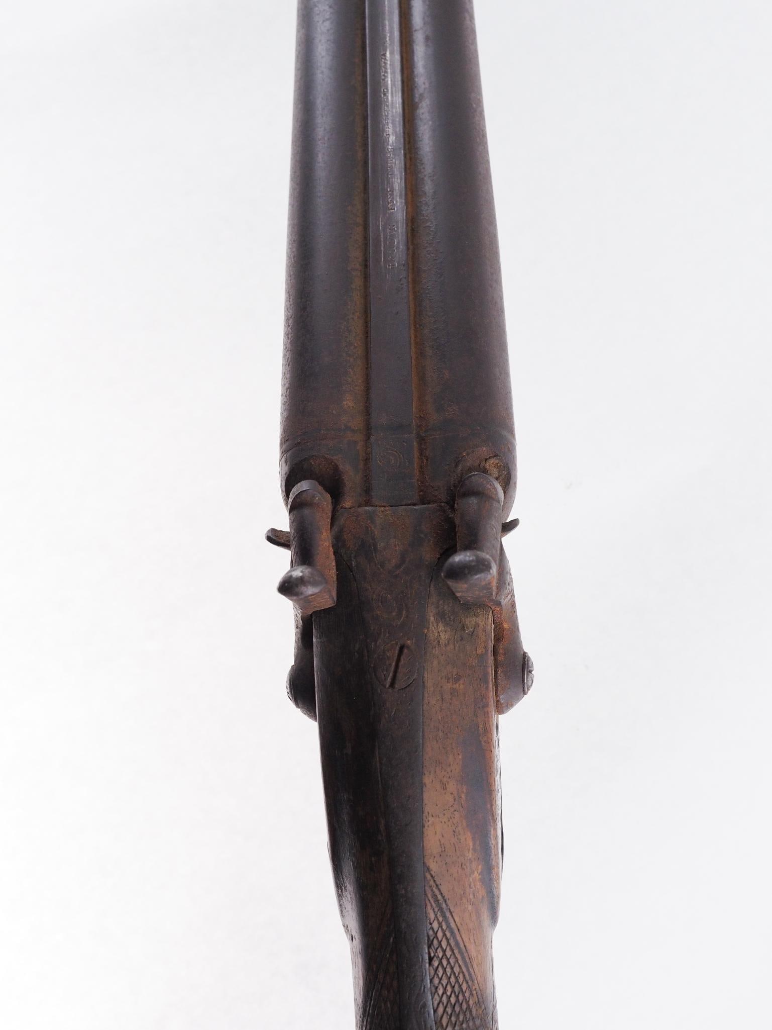 English Percussion Shotgun - 19