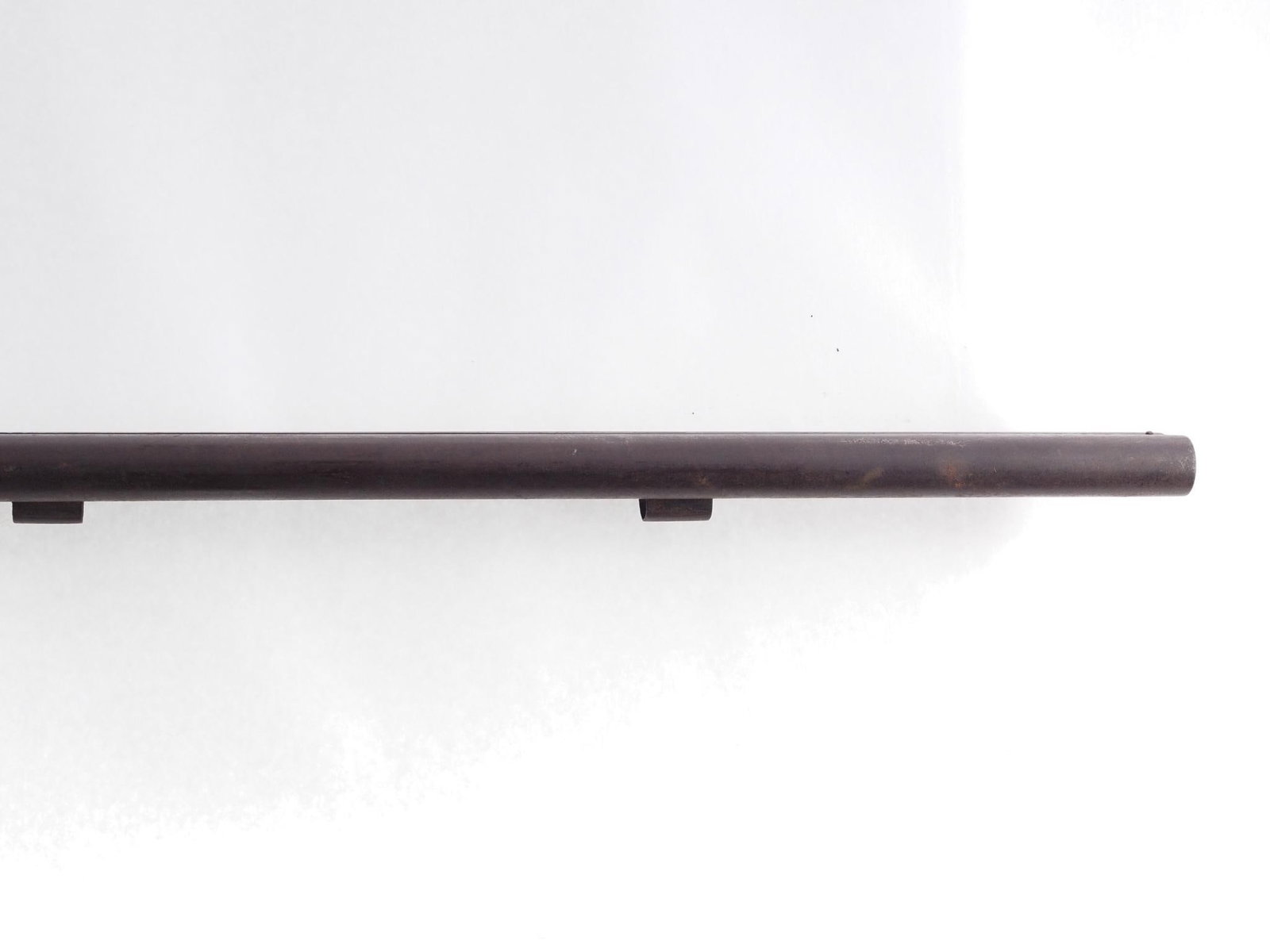 English Percussion Shotgun - 7