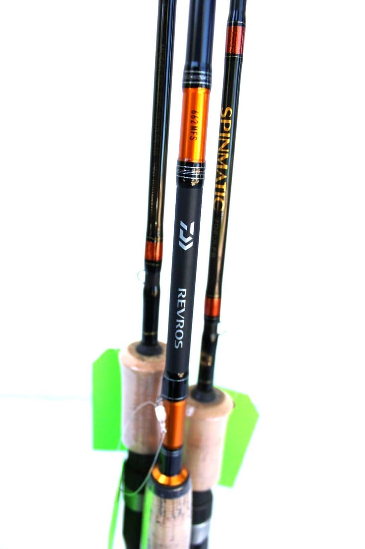 (2) Daiwa Spinmatic & Daiwa Revros LT Rods - 2