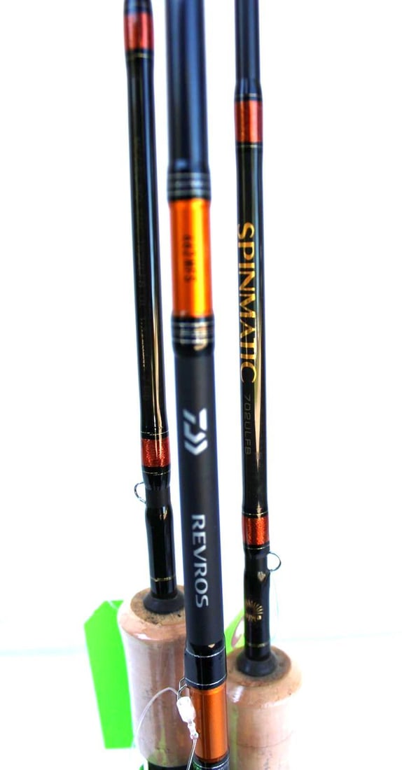 (2) Daiwa Spinmatic & Daiwa Revros LT Rods - 3