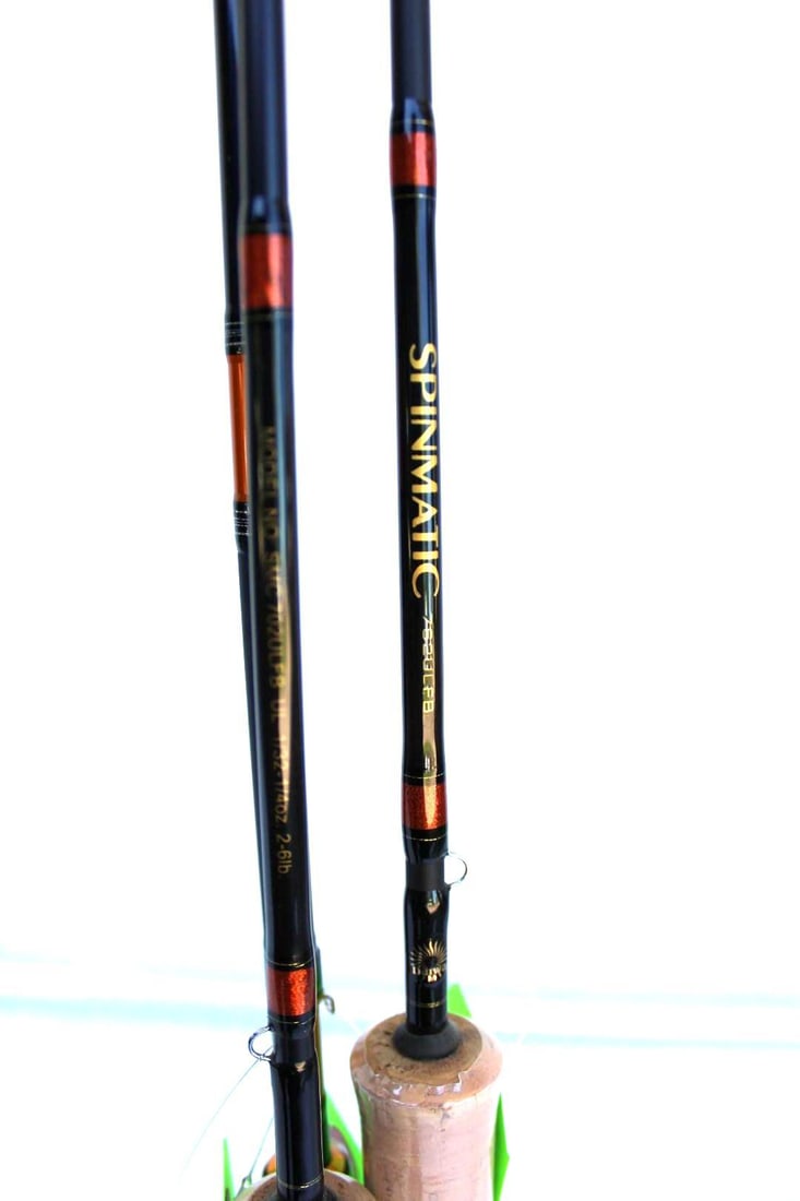 (2) Daiwa Spinmatic & Daiwa Revros LT Rods - 4