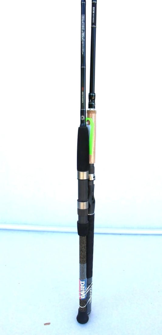 (2) Daiwa Rods - 3