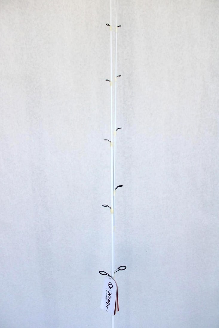 (2) Quantum Accurist PT Fishing Rods - 5