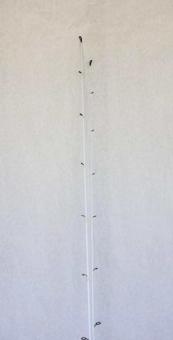 (2) Quantum Accurist PT Fishing Rods - 6