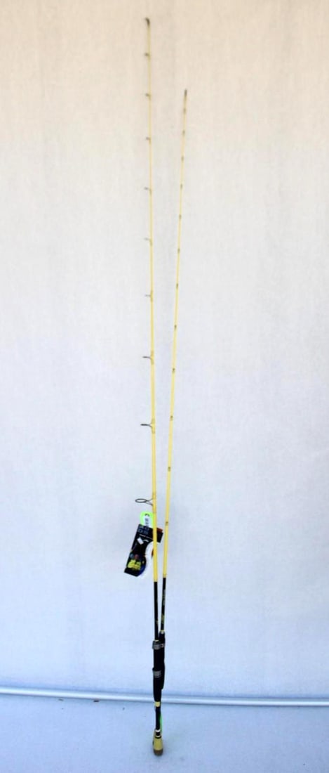 (2) Wright & McGill Company Fishing Rods: Skeet Reese Shaky Head Senko and Football Jig/Big Worm