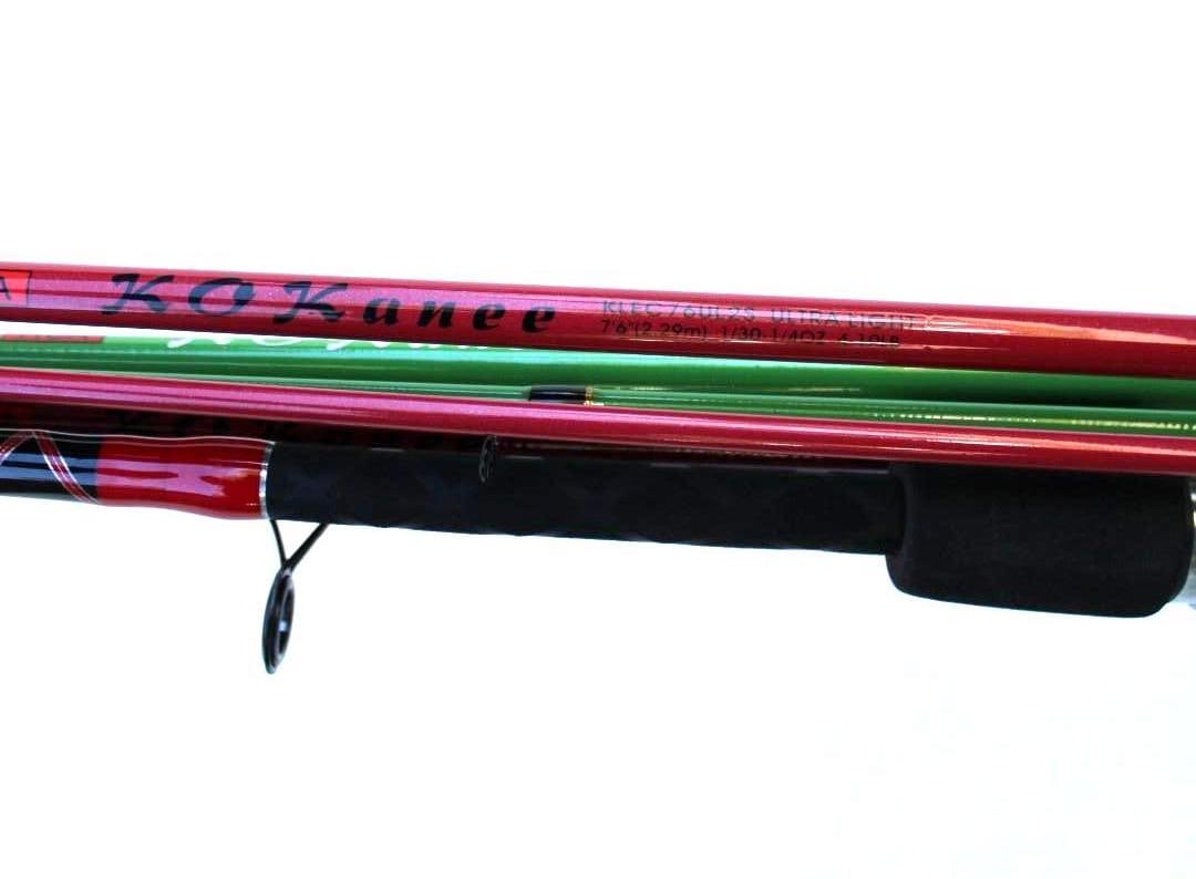 (4) Asst. TICA 2-Piece Fishing Rods - 4