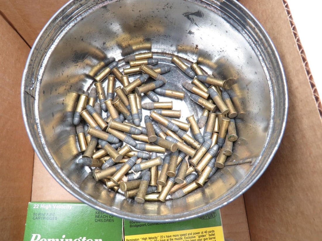 (1000+/-) Assortment of .22 Cartridges - 4