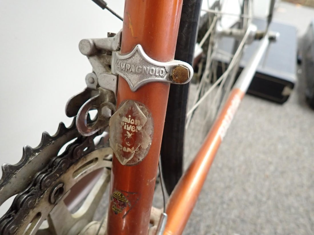 Vintage Raleigh International 12 Speed Road Bike - 20