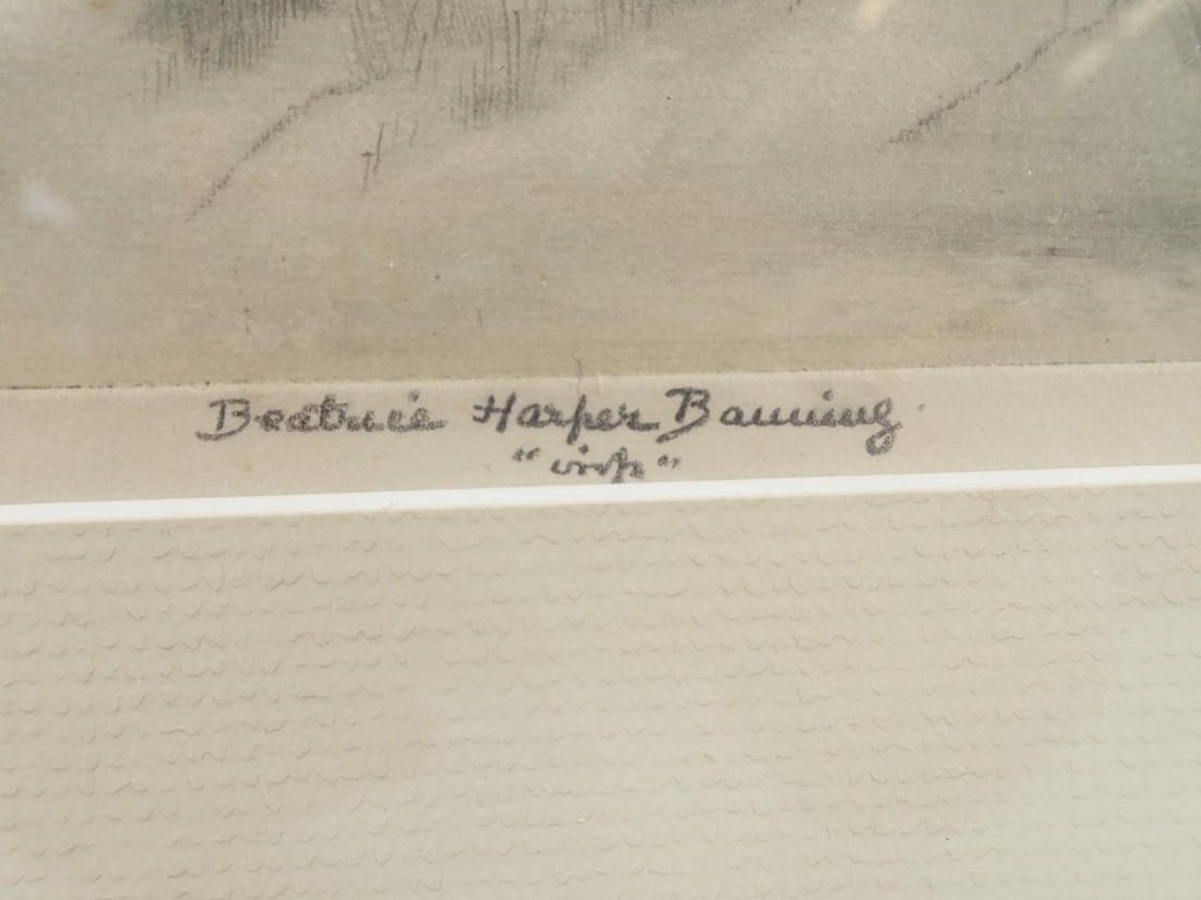 Beatrice Harper Banning Drypoint "White Mountains" - 3