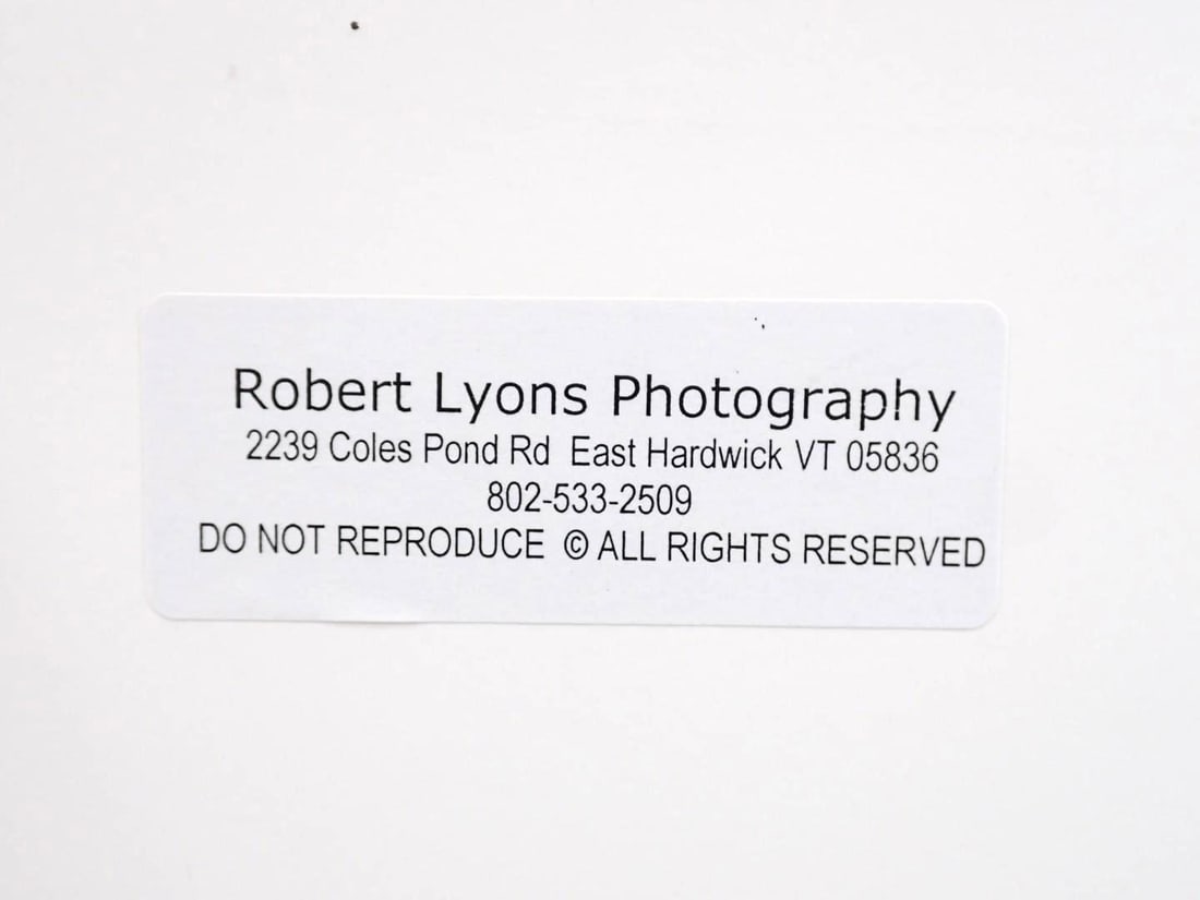 Robert Lyons Aerial Color Photograph "Caspian Lake" - 6