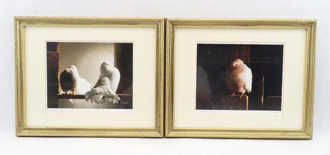 (2) Carroll N. Jones Jr. Limited Edition Lithographs of Doves: Vermont (1917-2009); each signed and numbered; 12.5" x 15.5" framed