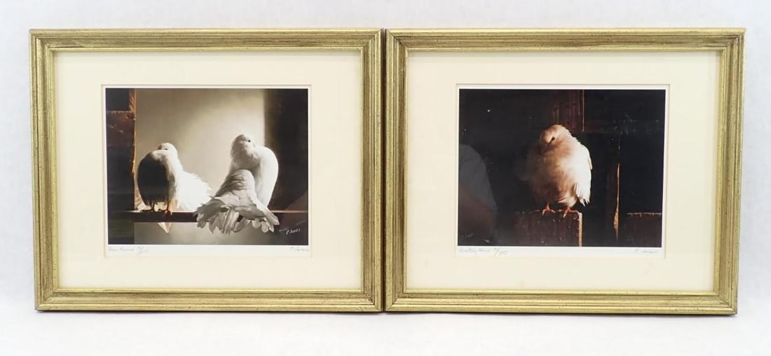(2) Carroll N. Jones Jr. Limited Edition Lithographs of Doves - 2