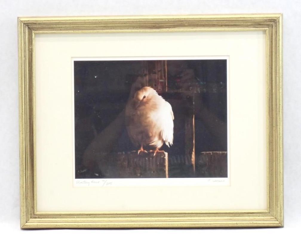 (2) Carroll N. Jones Jr. Limited Edition Lithographs of Doves - 3