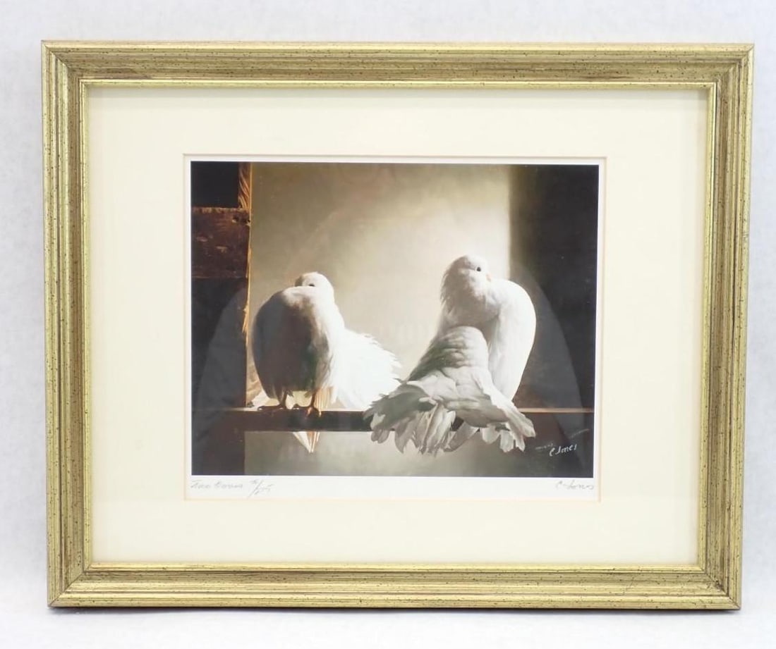 (2) Carroll N. Jones Jr. Limited Edition Lithographs of Doves - 7
