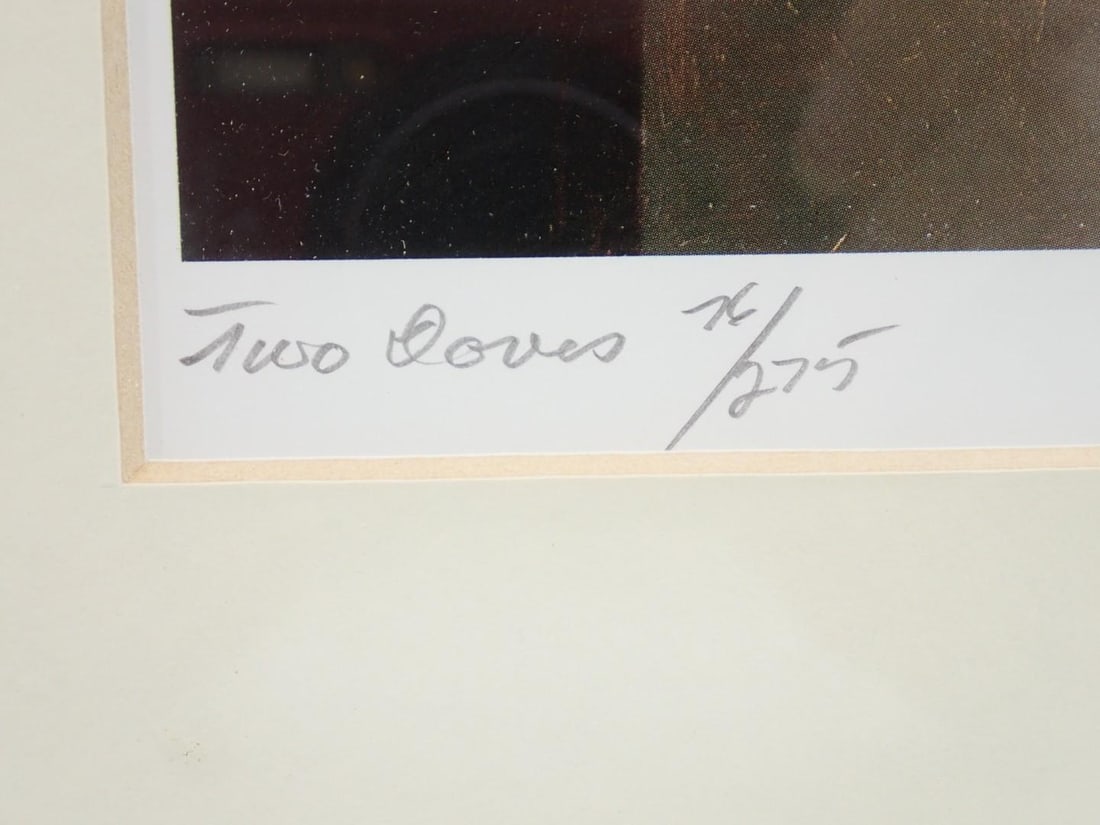 (2) Carroll N. Jones Jr. Limited Edition Lithographs of Doves - 9