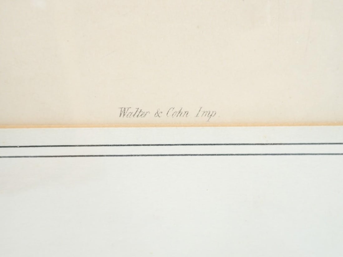 (2) Vintage J. Gould & H.C. Richter Bird Lithographs - 10