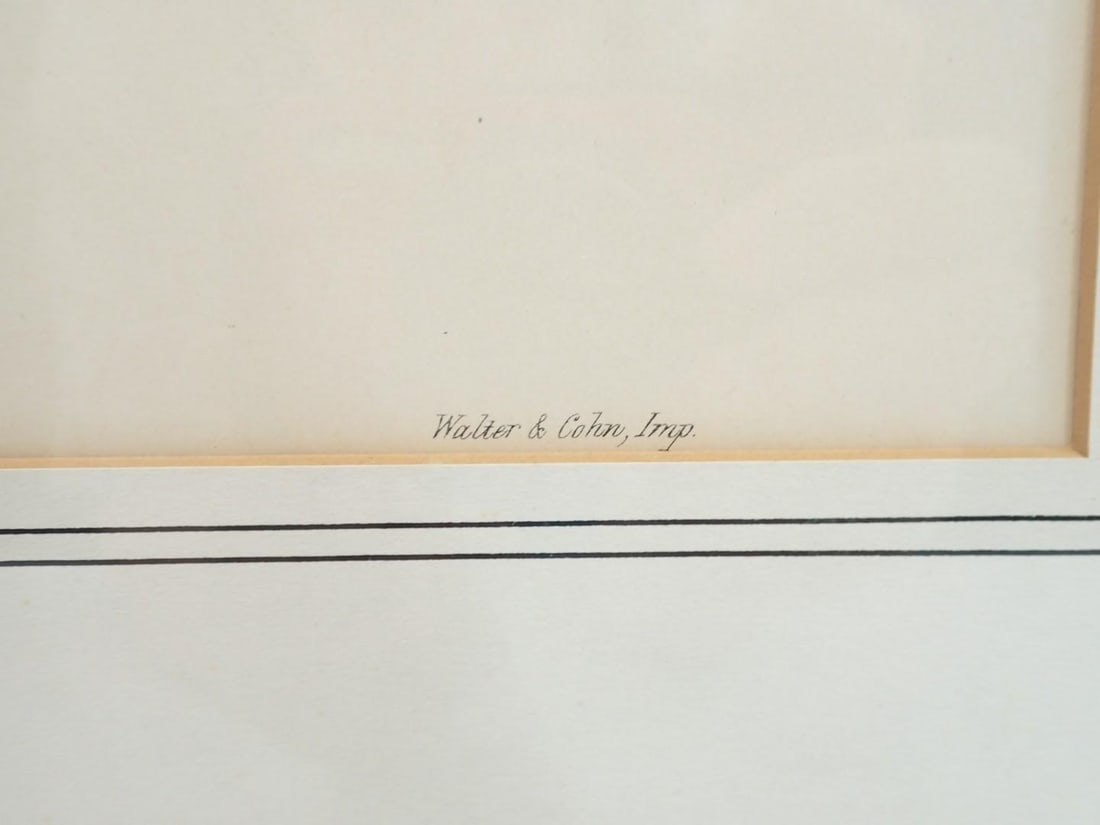 (2) Vintage J. Gould & H.C. Richter Bird Lithographs - 6