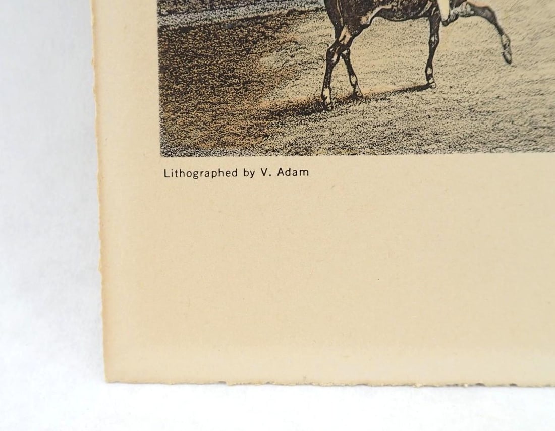 (3) Vintage Colored Engravings - 13