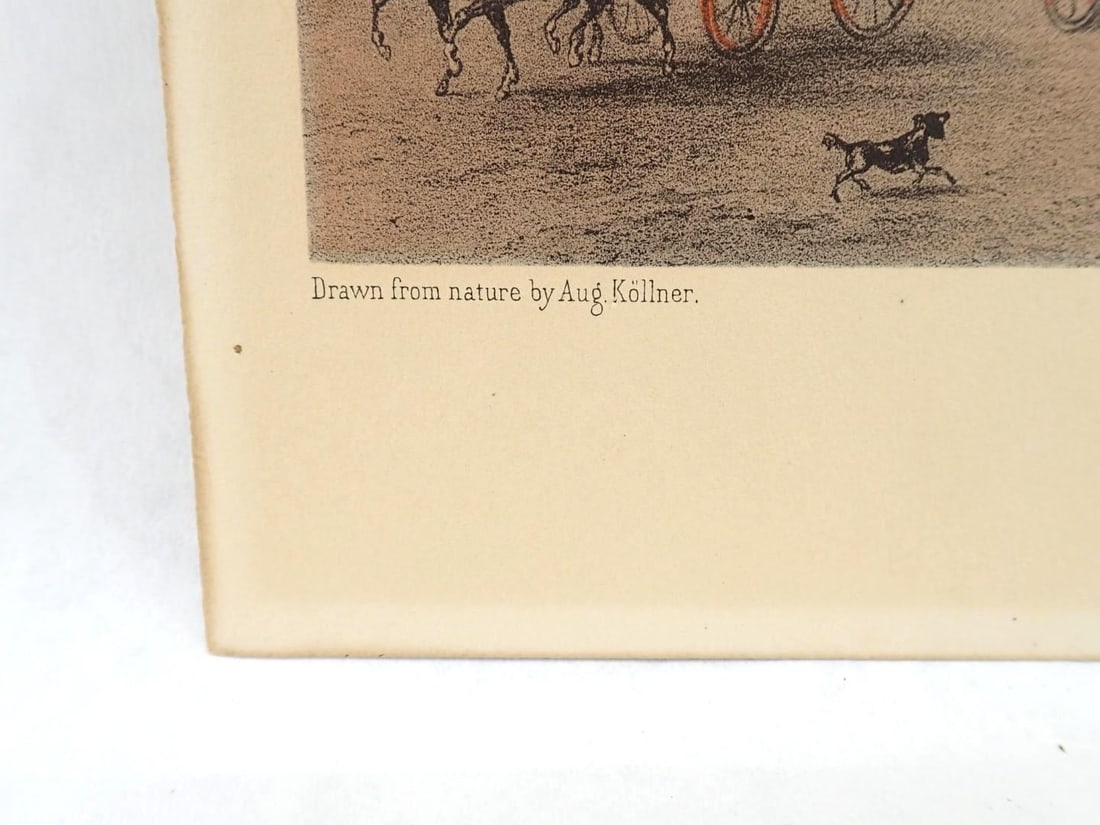 (3) Vintage Colored Engravings - 9