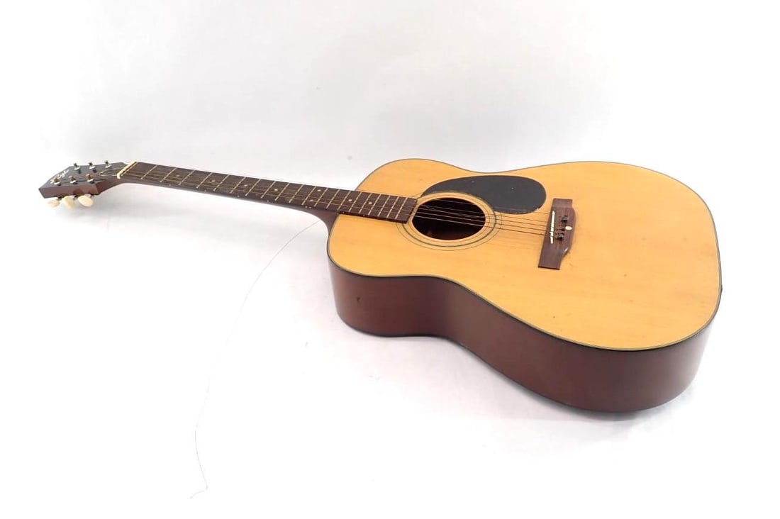 Vintage Lyle F550 Acoustic Guitar (1 of 7)