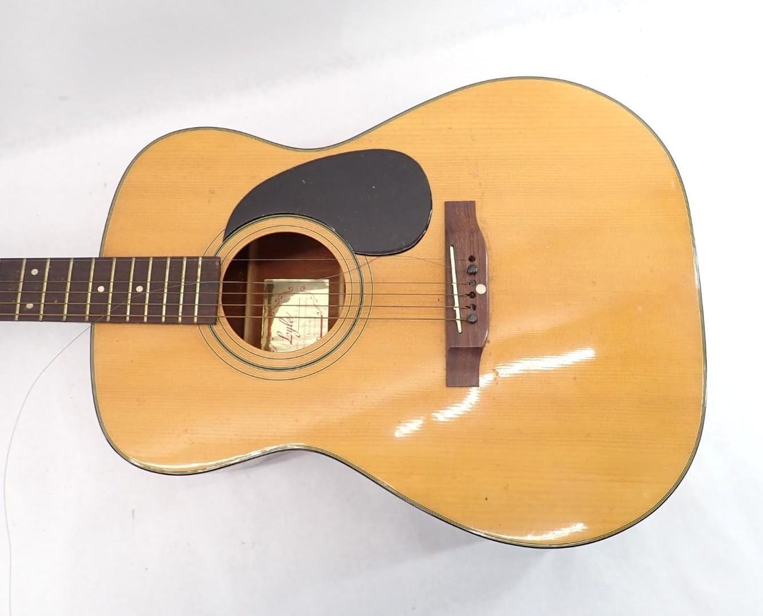 Vintage Lyle F550 Acoustic Guitar - 2