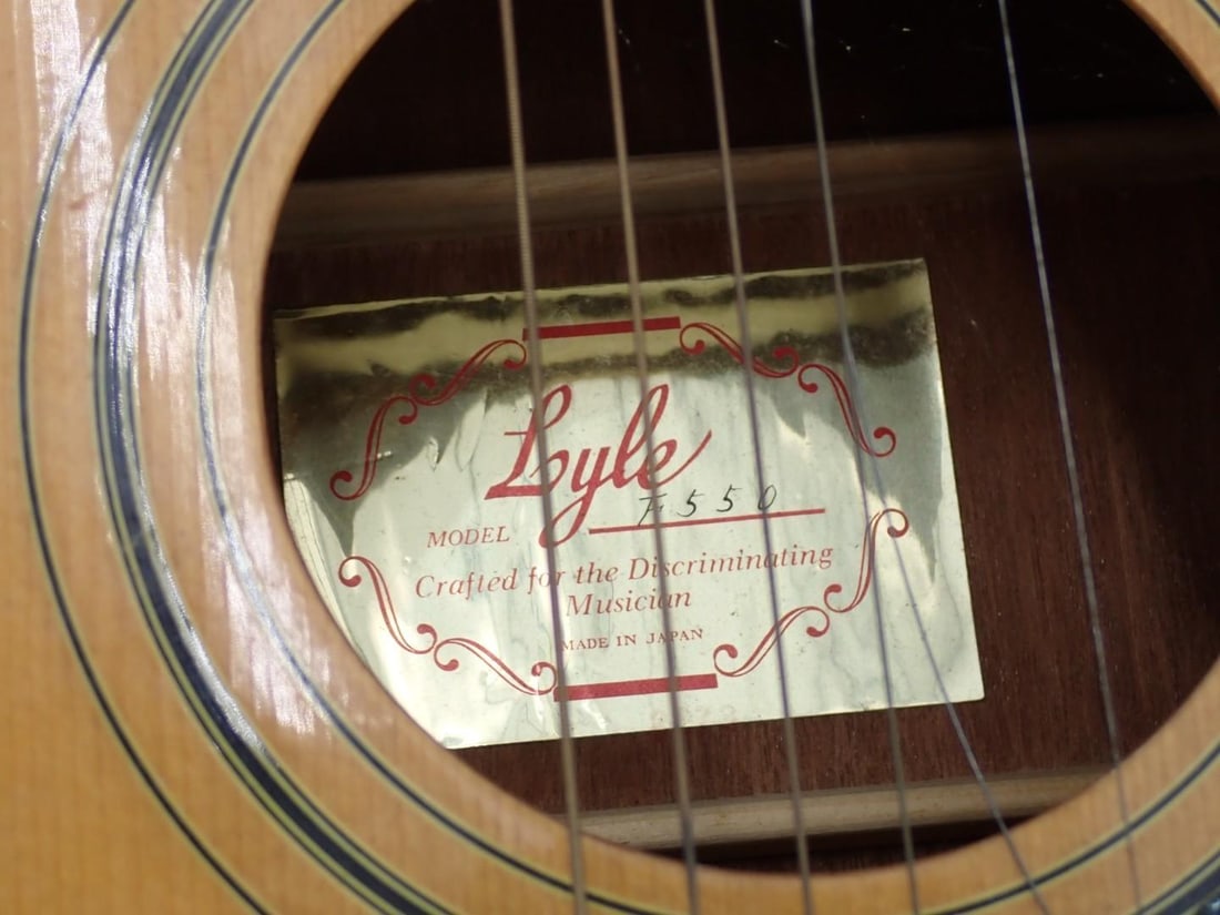 Vintage Lyle F550 Acoustic Guitar - 3