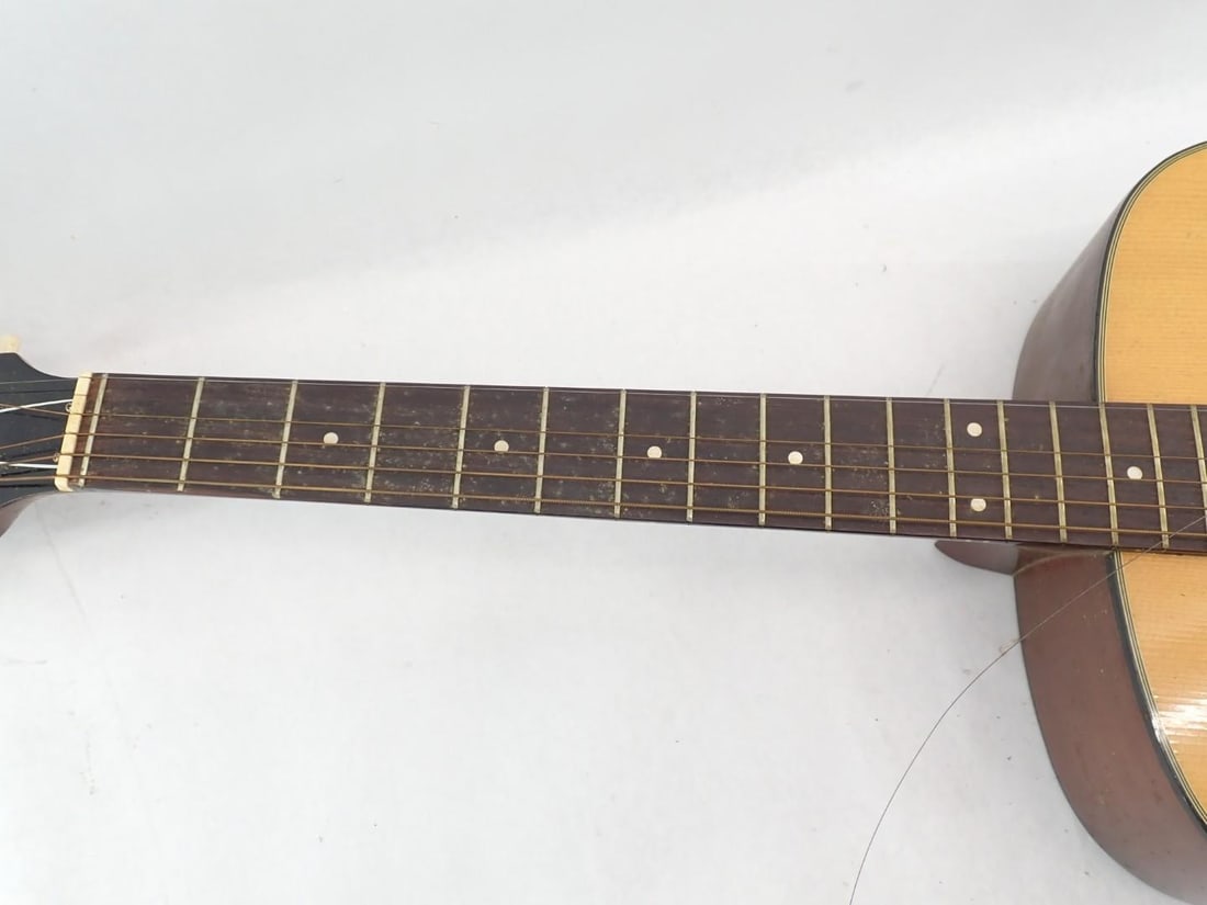 Vintage Lyle F550 Acoustic Guitar - 4