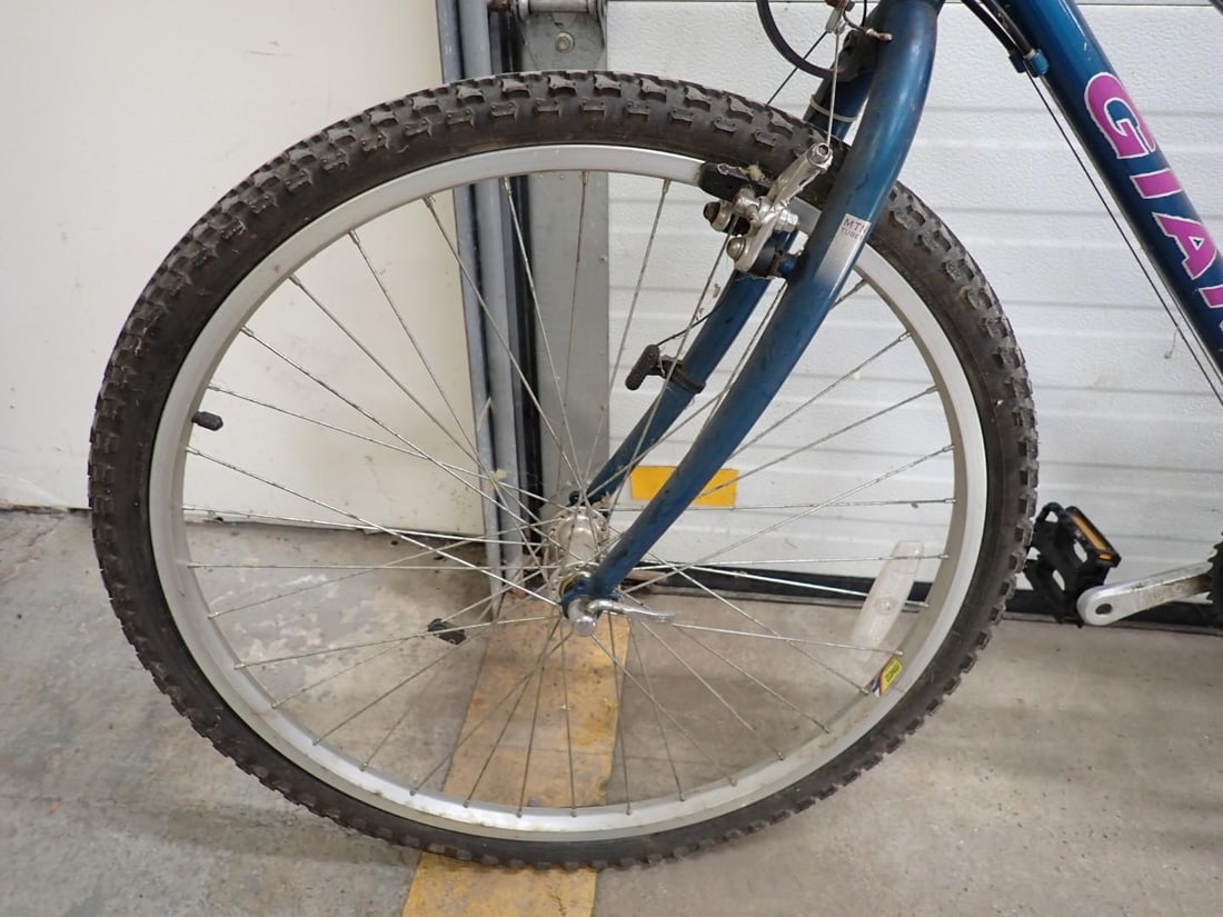(2) Giant Bicycles - 12