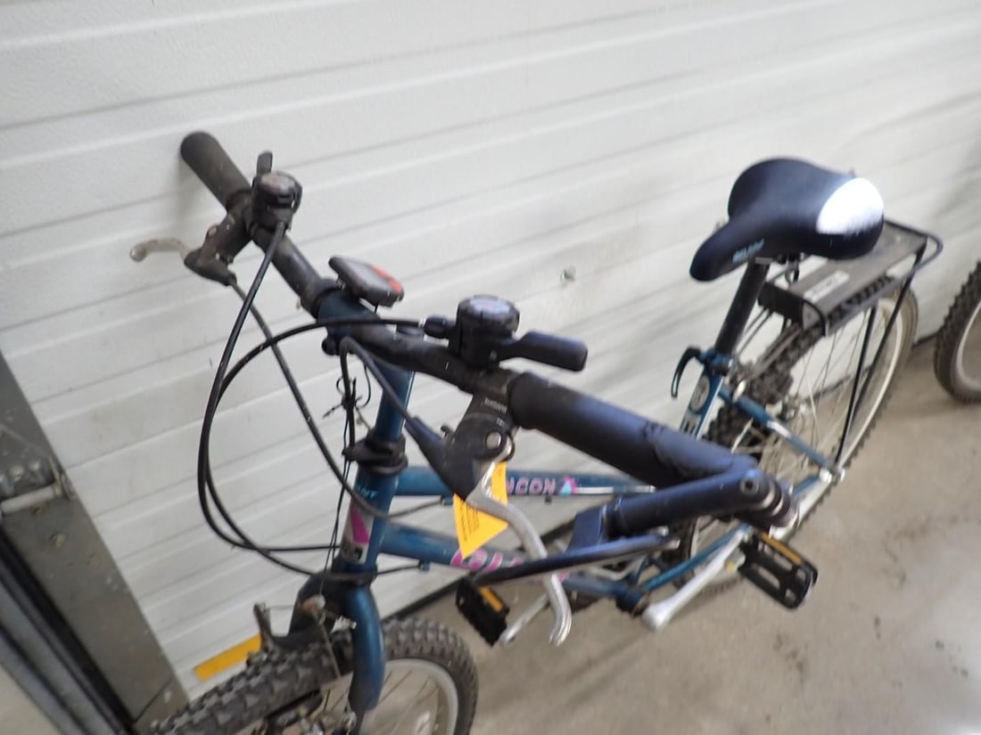 (2) Giant Bicycles - 13