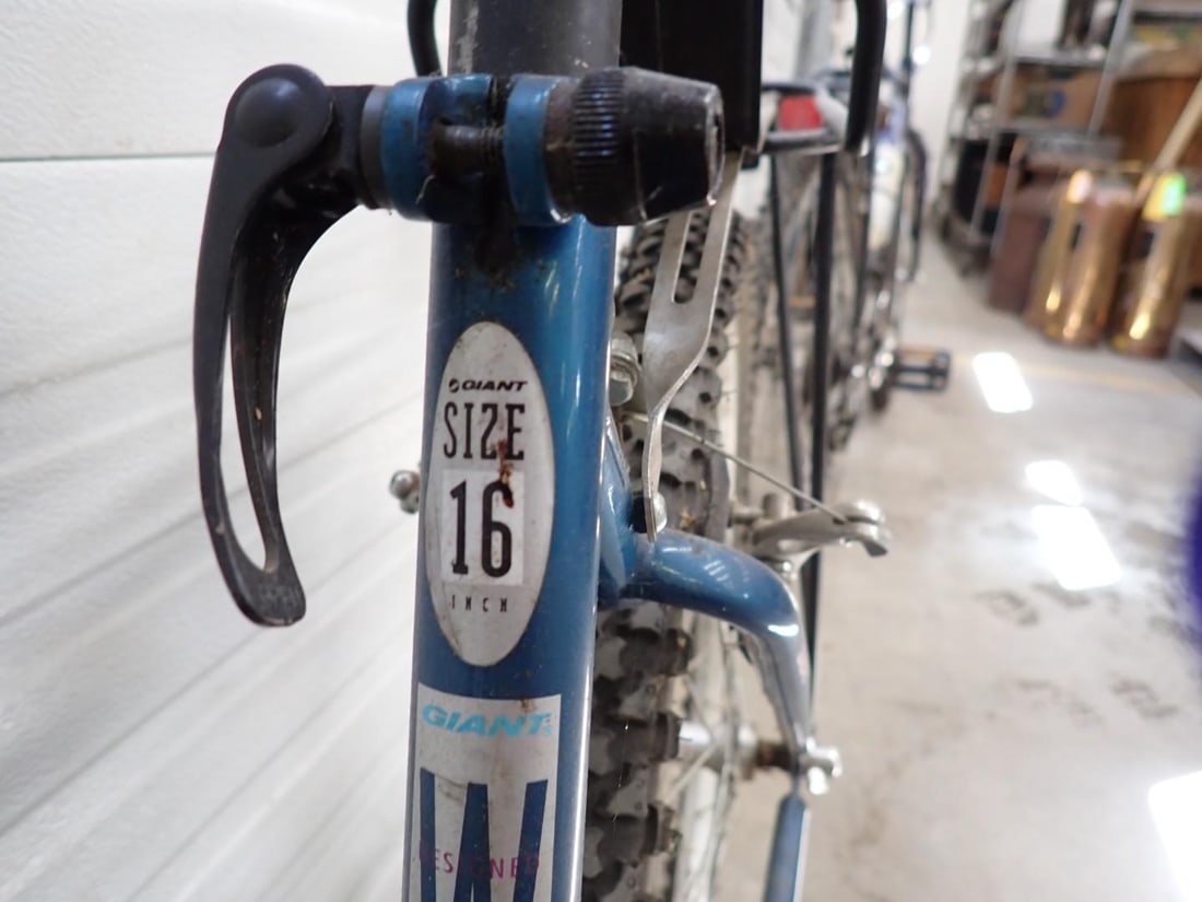 (2) Giant Bicycles - 15