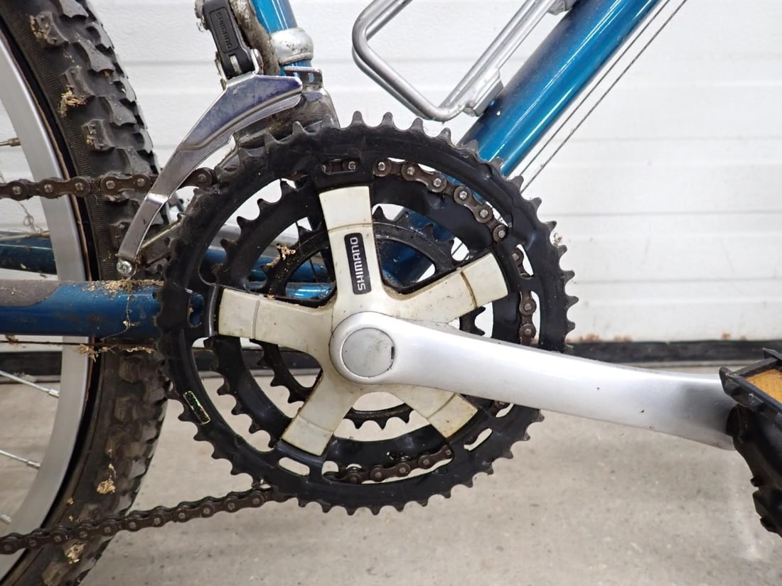 (2) Giant Bicycles - 17
