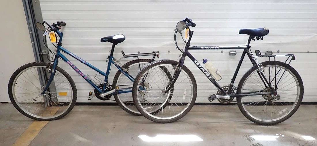 (2) Giant Bicycles: (2) Giant Bicycles
