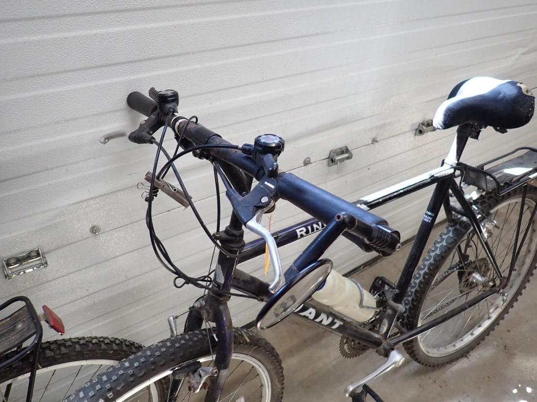 (2) Giant Bicycles - 3