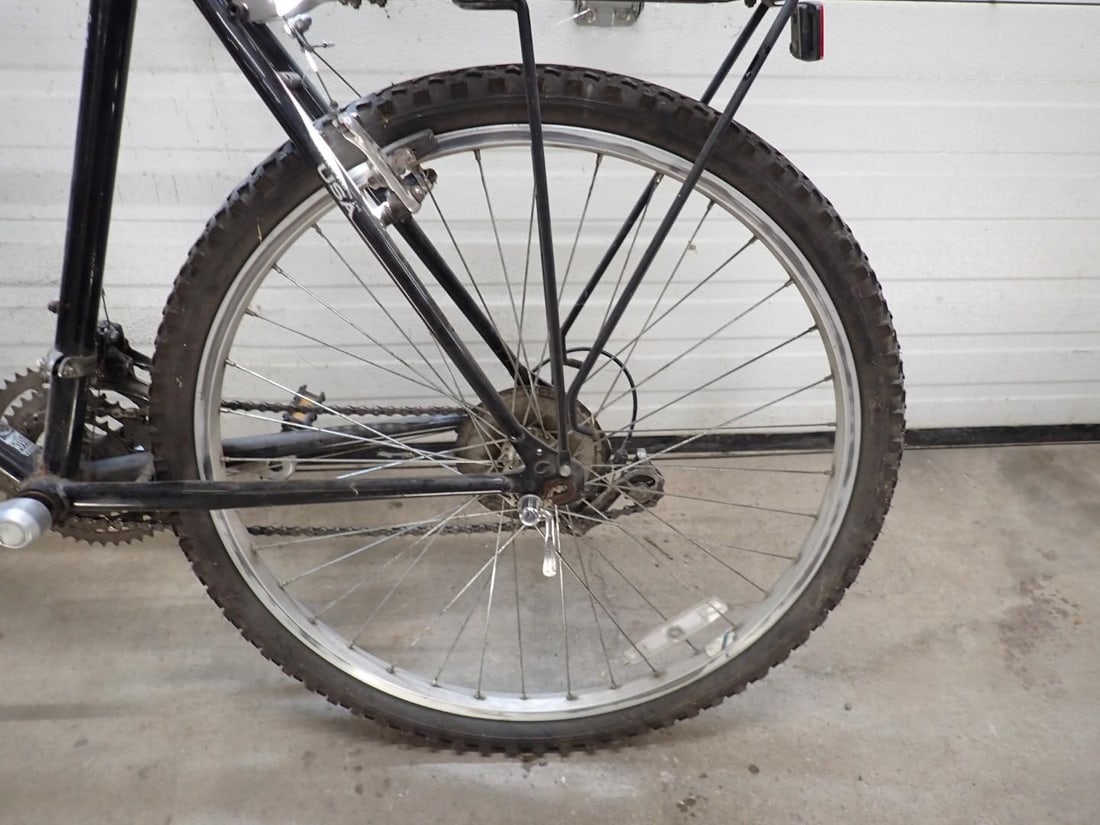 (2) Giant Bicycles - 4