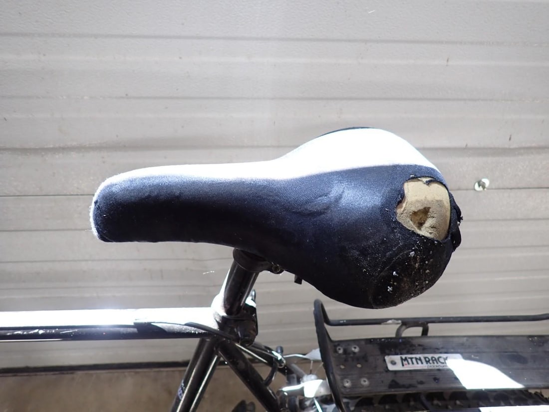 (2) Giant Bicycles - 6