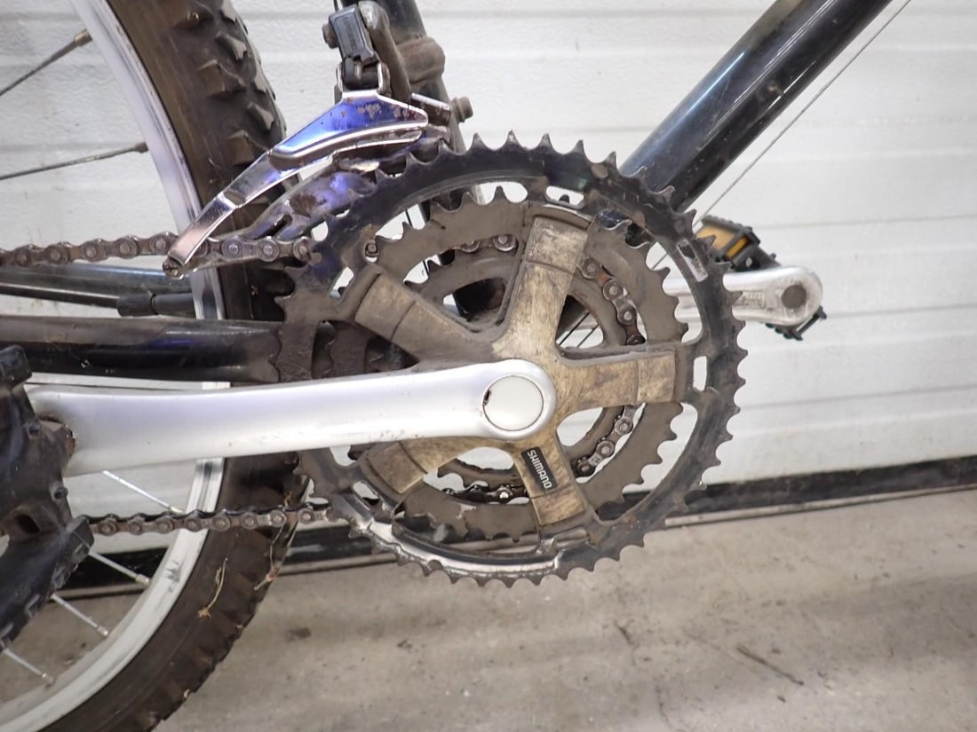 (2) Giant Bicycles - 8