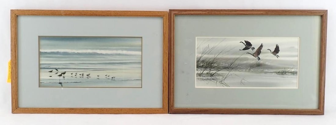 (2) Garcia Watercolor Paintings: shore birds & Canada geese, each signed, each 14" x 21" framed, California artist